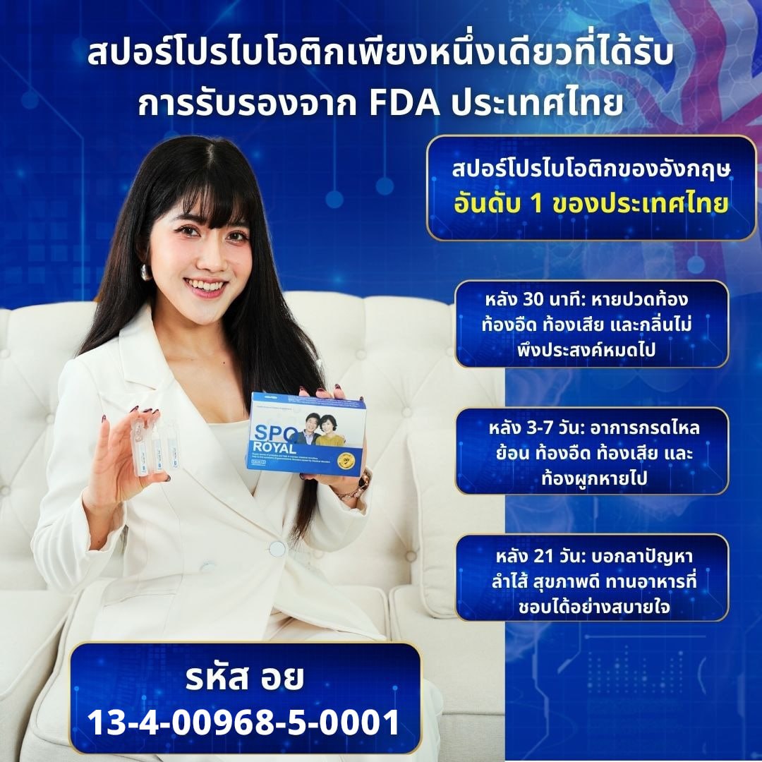  สปอร์ SPO ROYAL